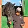 nabiltbawrida