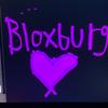 bloxburgbuilder023