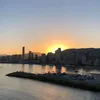 jolie.jolie.pv