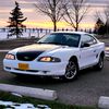paynemustang