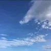 usariadotiktok