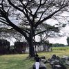 abar_o04