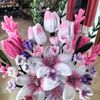 freyaira.craft