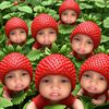 hey.qil4