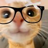 ratuiblissrorrr_