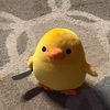 chidchan55