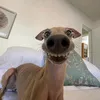 khotkhotkhot0