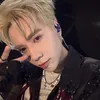 chip_negav124