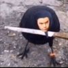 shekneetra