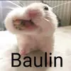 baulin_3