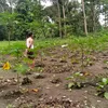 _dwiprima