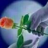 user606109378