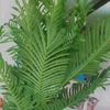 hafso.qurux7