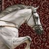 3_sham5