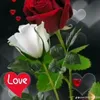 aliahmerd7