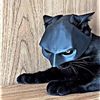 auraagmail1