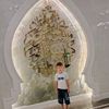 user4905158311102