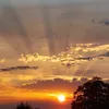 manuelamann8