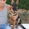 gennaroloprior