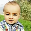 shehzadraza533