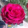 user2085766193143
