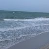 nammon_321