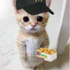 nvmdevvi