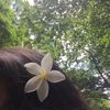 doaa.k_1