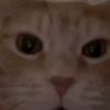 bryano_4