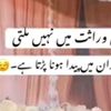 javed.khan905