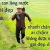syquynvuong