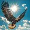 flycarus