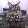 arinn.meow