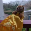 la.belle.nounours