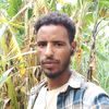 user2031135684616