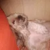 geloxwolrd