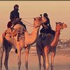 راعي الهرش 🐪📸
