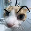 killya_15