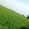 saleemullahsaleem63