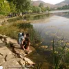zahrasaadouni85