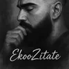 ekozitate