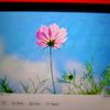 ..marlene_8