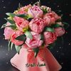zeinabibrahim286