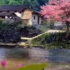 user92920990311868