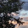 random.videos3287