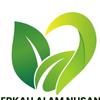 BERKAH ALAM NUSANTARA HERBAL