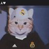 _ariel_007