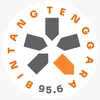 BINTANG TENGGARA