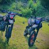 el..dany..504