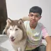 rex.comia_567ar